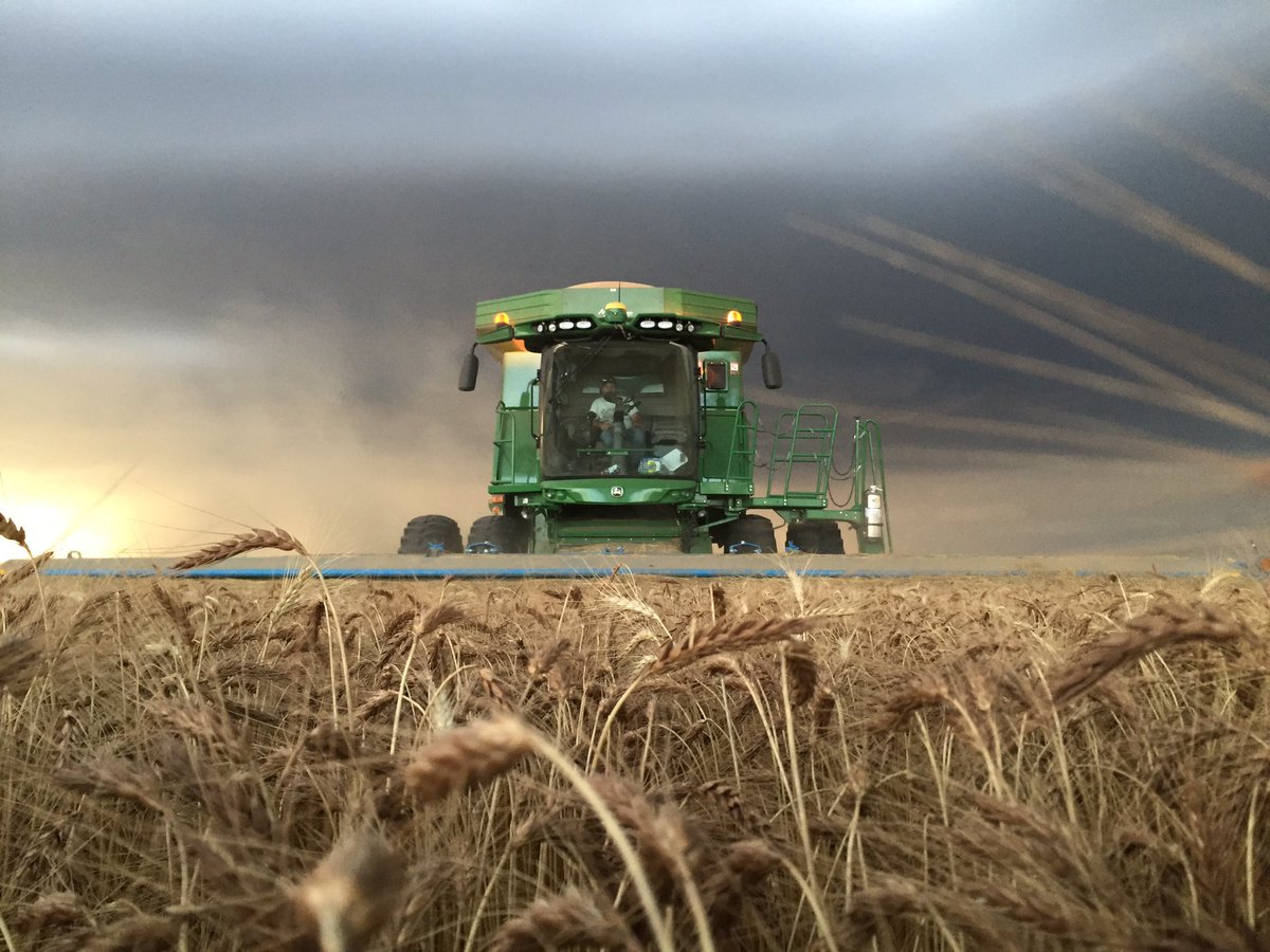 Grim realities of South Africa’s agriculture infrastructure investment failures