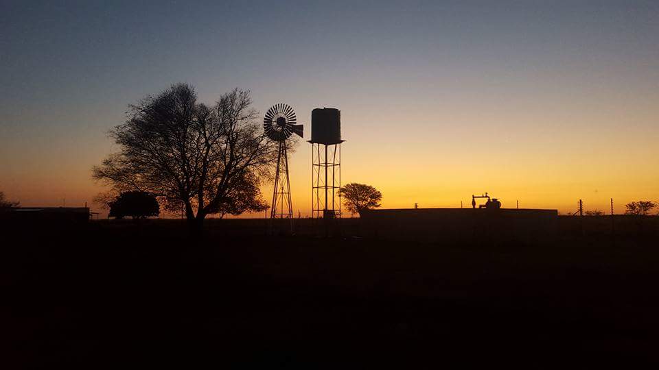 The Case for Open Land-Data Systems