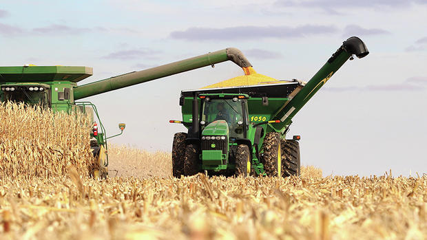 The path ahead for South Africa's summer and winter grains production