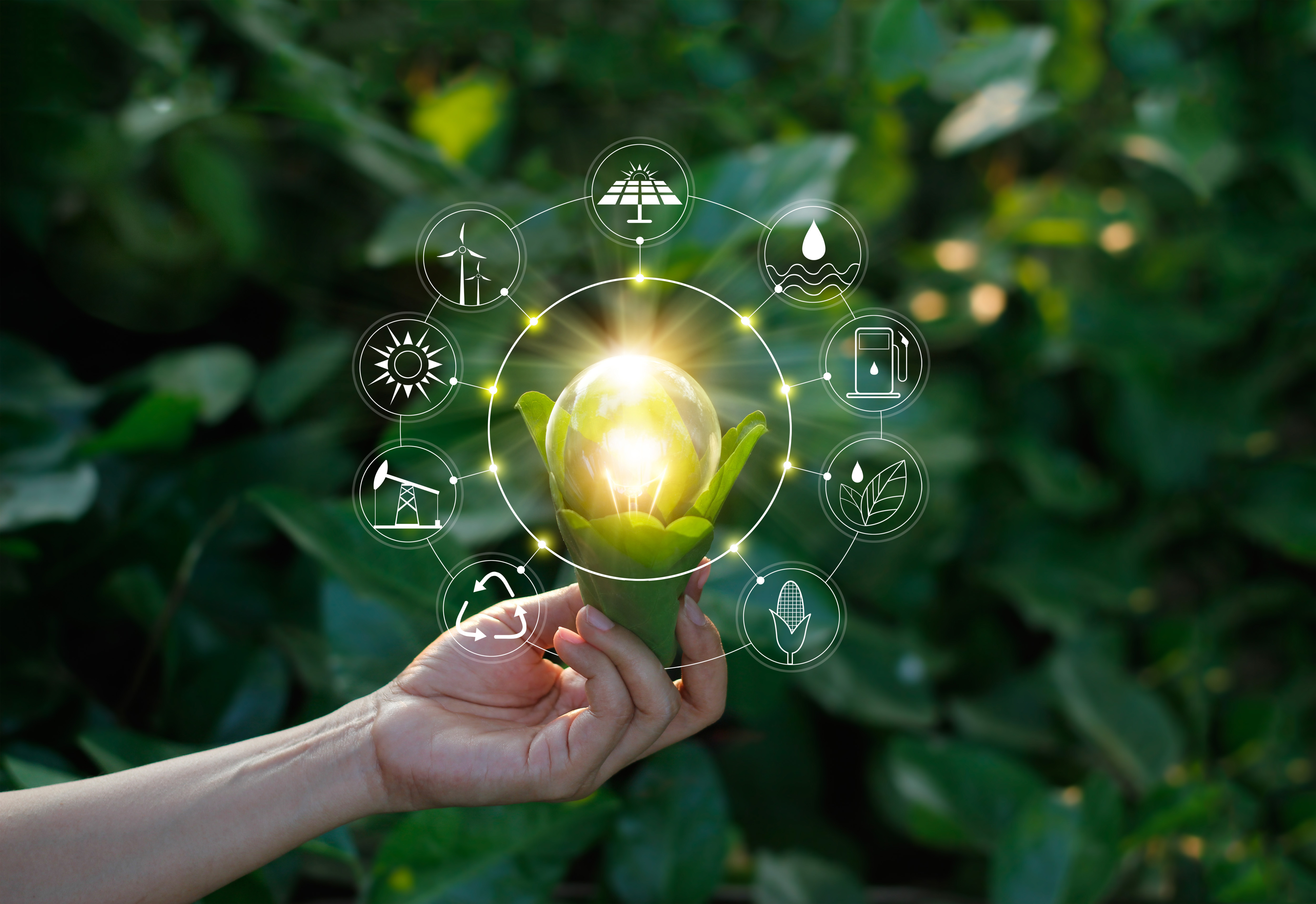 South Africa’s move to renewable power is complex, but clearing 5 bottlenecks would speed it up