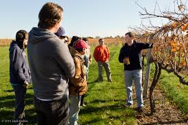 What Makes a Good/Succesful Farmer?