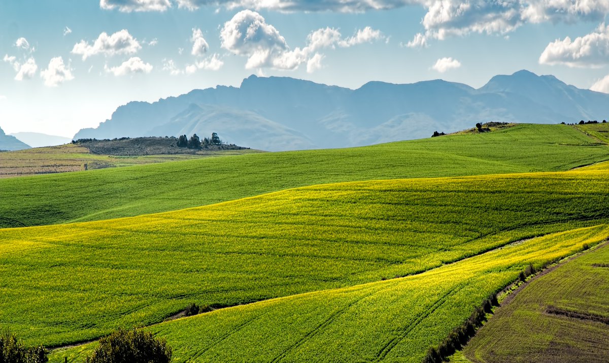 Western Cape aims to fund climate study to ensure sustainable agriculture sector