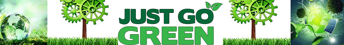 South Africa’s sewage pollution crisis is impacting our food safety