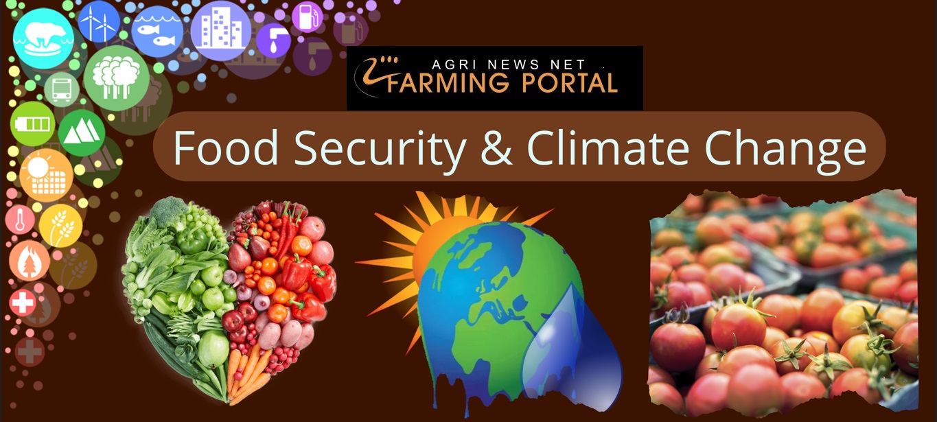 Africa’s worsening food crisis – it’s time for an agricultural revolution