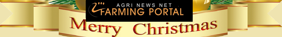 Christmas Begins on the Farm