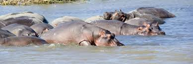 Healing South Africa’s largest lake paradise