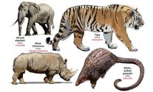 Does the farming and legal trade of wildlife do more harm than good? New study