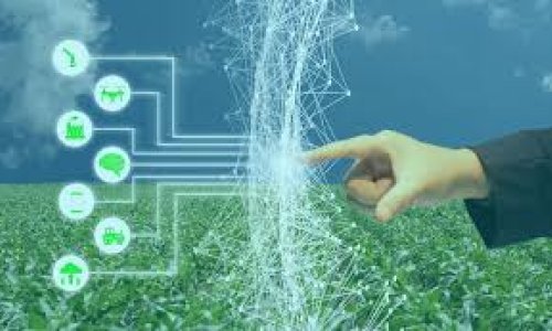 Engineered microbes could tackle climate change – if we ensure it’s done safely