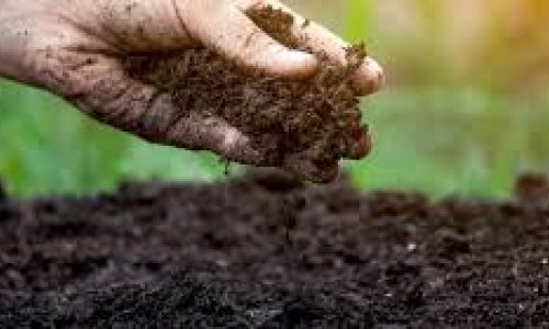 More than half of life on Earth is found in soil – here’s why that’s important
