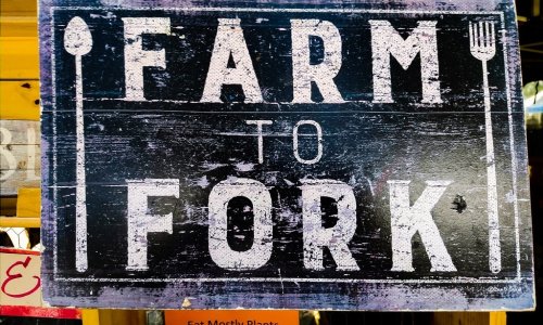 Why Traceability is Key to a Sustainable Future in South African Agriculture