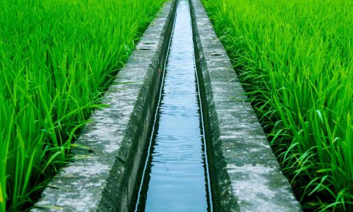 How water is stored in the earth