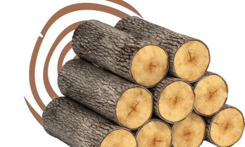 Time to realise the potential of sustainable wood for the Planet