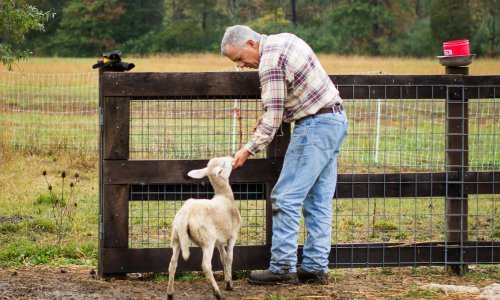 The Future of Family Farms: Navigating Generational Changes
