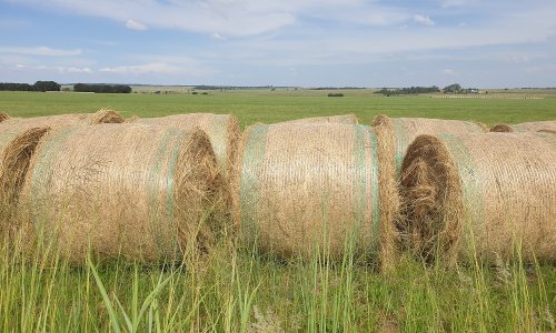 Africa’s longest-running grassland research project offers up a wealth of knowledge