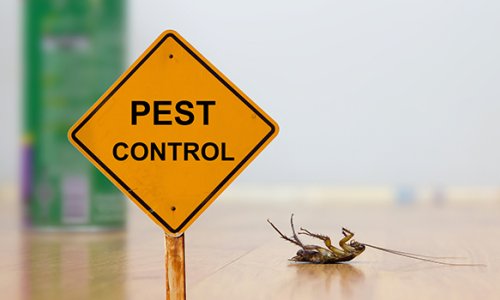 Eco-Friendly Pest Control: Biocontrol Agents Market to Surpass at USD 26.4 Billion by 2034
