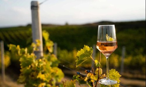 Hybrids in Canada: Adapting to a warming world