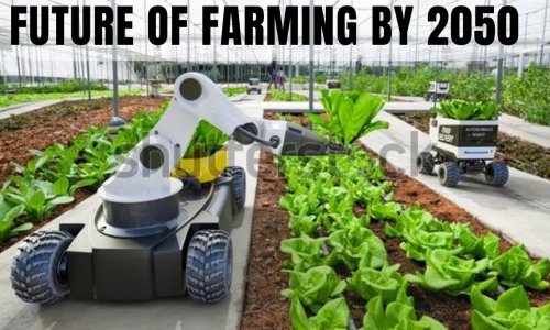 Without big changes, this is what the environment will look like in 2050
