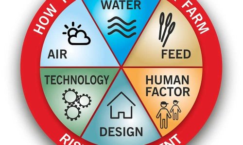 Farm Biosecurity: Safeguarding Livestock, and Food Safety