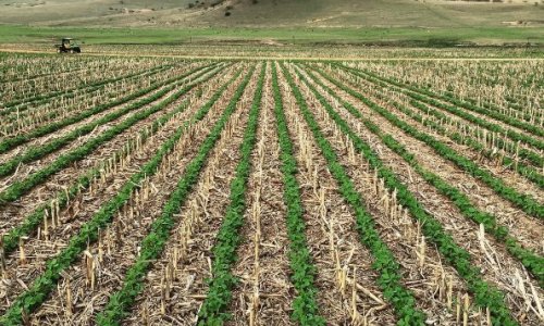 What is no‑till farming, and is it actually better for the environment?