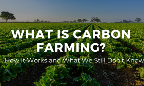 Farming Carbon credit in South Africa 