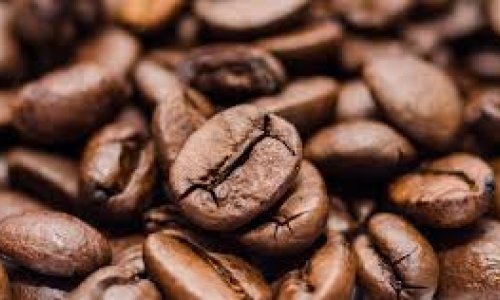 A new FAO report examines how shocks affect global coffee, cocoa and tea markets and outlines policy options to address structural vulnerabilities