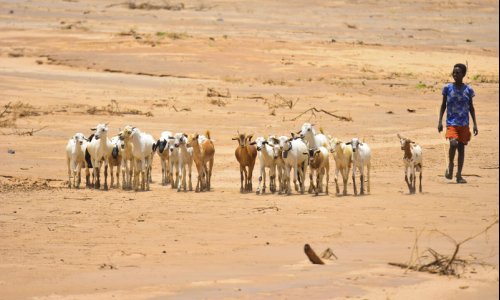 El Niño is coming. Here is where the risks to agriculture are highest