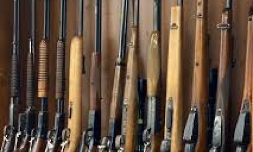 Parliament Hears the Truth About New Firearm Laws