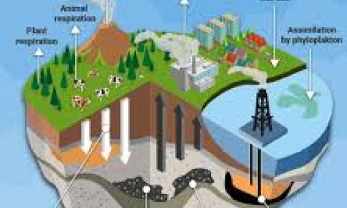 Fossil fuels are driving a cost crisis for households-