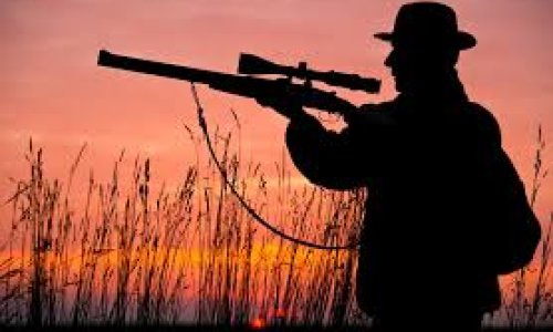 Hunting bill: lights, shadows, and vested interests
