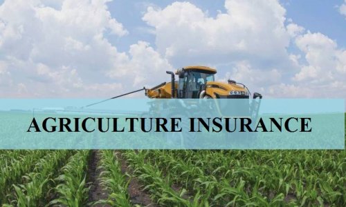 South African Agricultural Insurance Under Pressure as Farmers Face Growing Risks
