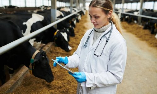 South Africa’s livestock industry and biosecurity challenges