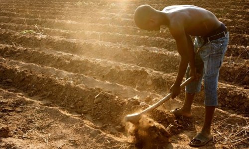 When War Reaches the Soil: How the Iran Conflict Could Starve Africa's Next Harvest