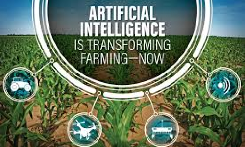 AI is Transforming the Grocery Industry