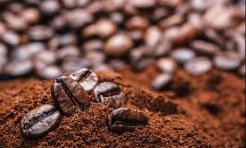 Coffee Futures Retreat as Brazilian Shipments Accelerate and Weather Risks Shift to the Next Crop 
