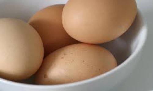 What’s the Difference Between Brown and White Eggs?