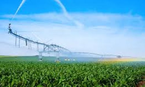 Precision irrigation fundamental for stabilising global food security