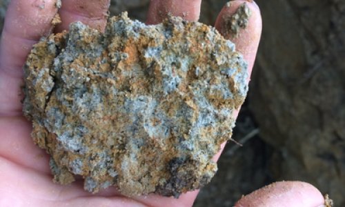 Soil holds the secret to mitigating climate change-