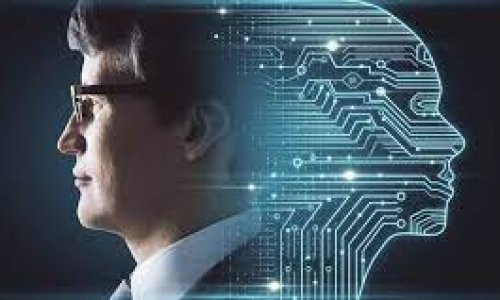 Using AI in agriculture could boost global food security – but we need to anticipate the risks