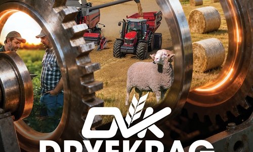 SAAI DIE SAAD VIR JOU TOEKOMS: ONTDEK ’N DINAMIESE LOOPBAAN BY OVK