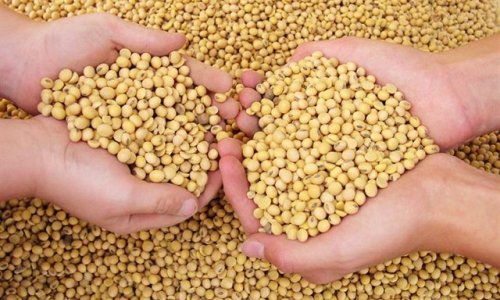 With its planet-friendly protein, Farmless wants to dramatically outperform animal agriculture